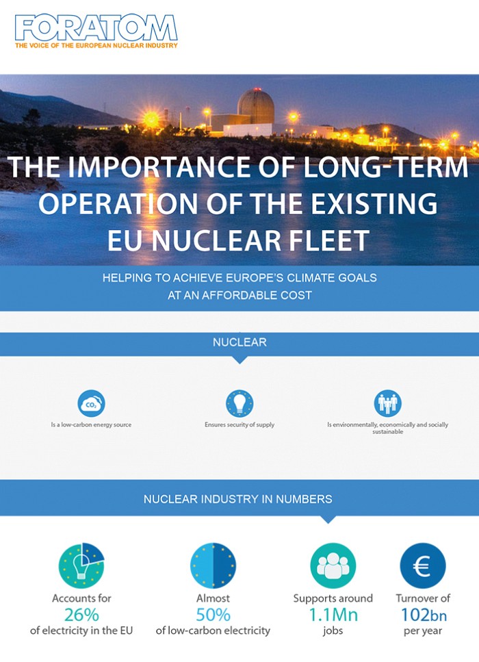 Long-Term Operation of the Existing EU Nuclear Fleet