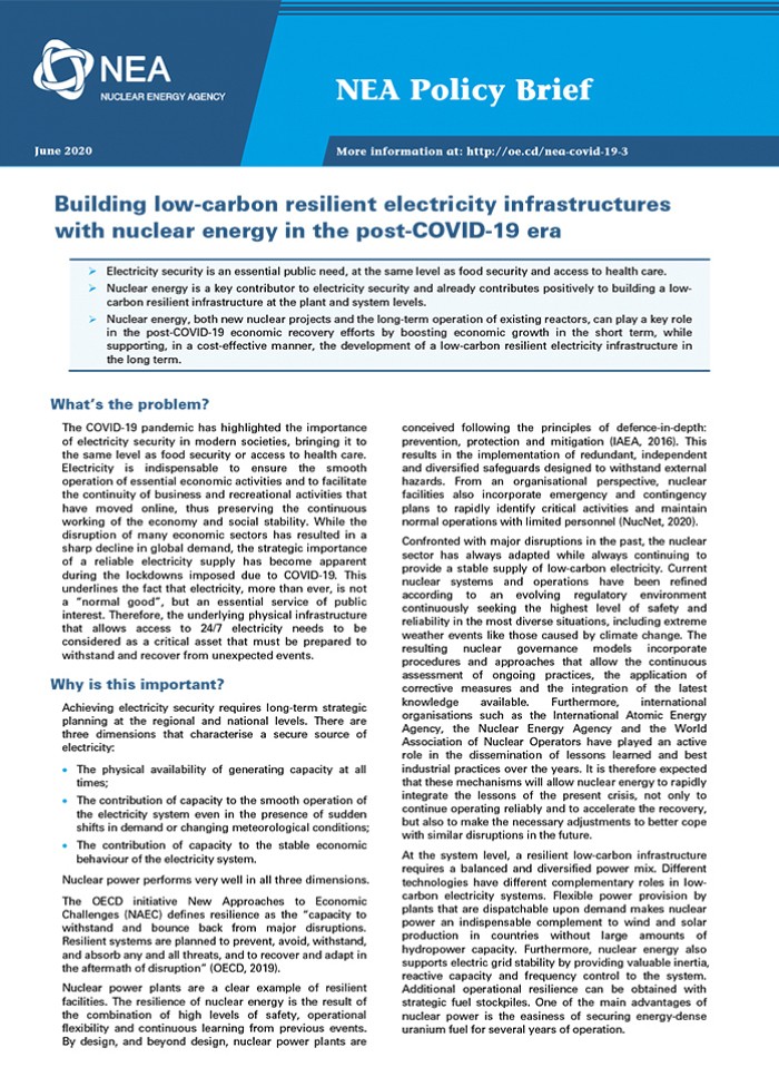 Building low-carbon resilient electricity infrastructures with nuclear energy in the post-COVID-19 era